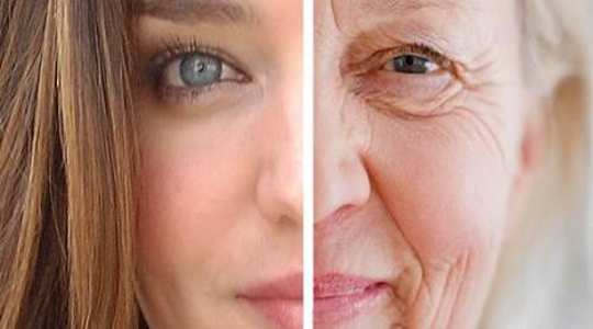 Narrowing In On The Theory Of Aging