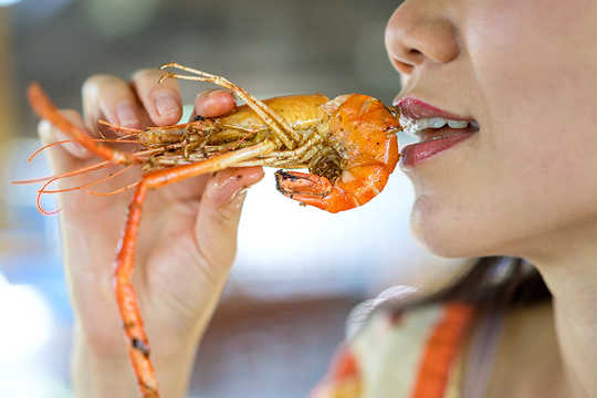 Shellfish Tops The List Of US Adult Food Allergies