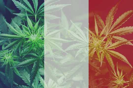 France Forgets Own Golden Age Of Medical Marijuana