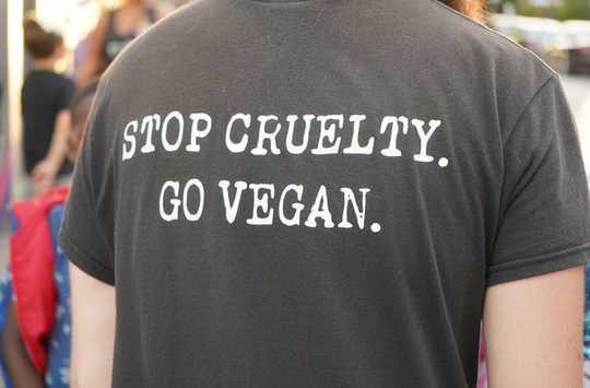 Why Vegan Activism Needs To Switch Gears