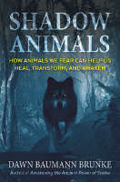 book cover of Shadow Animals by Dawn Baumann Brunke