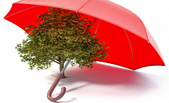 a tree covered by an umbrella